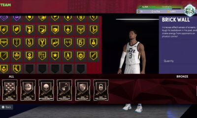 NBA 2K22 Fake Badges